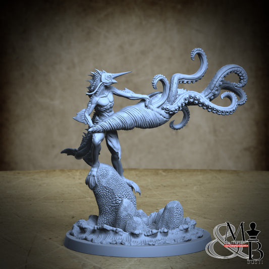 Adaro - Adaro Posa 4