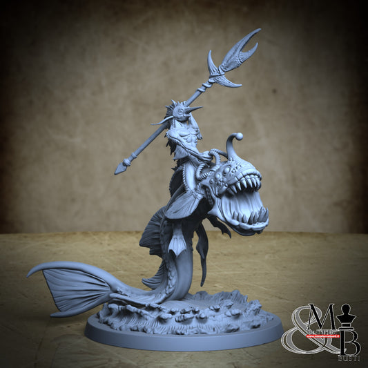 Adaro - Cavaliere Adaro 1