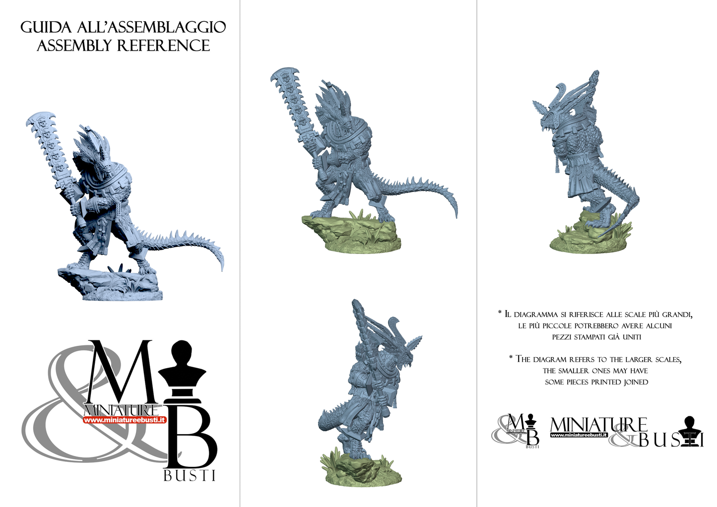 Agama Aztical - Pose 1