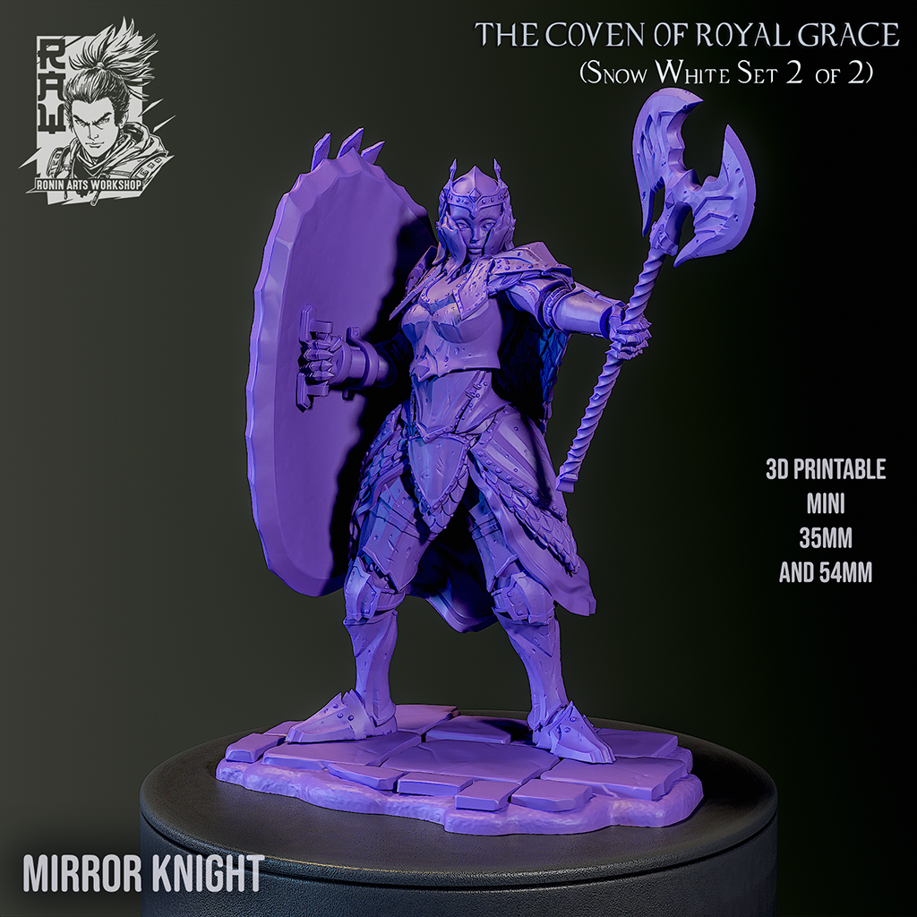 The Mirror Knight