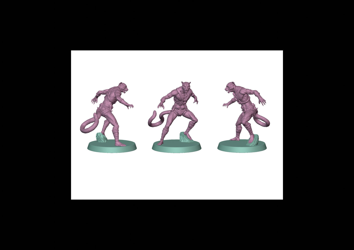 Panthera Warriors - Posa 2
