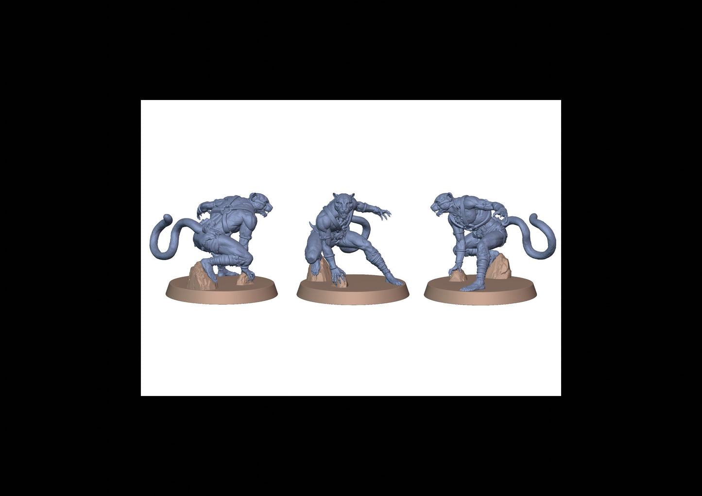 Panthera Warriors - Posa 3