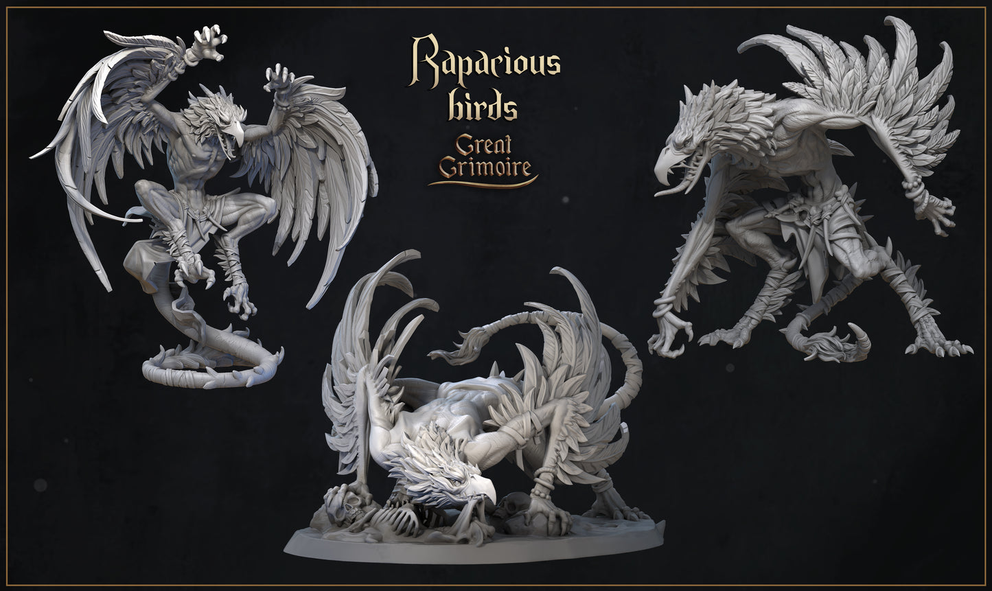 Rapacious birds - Attacking