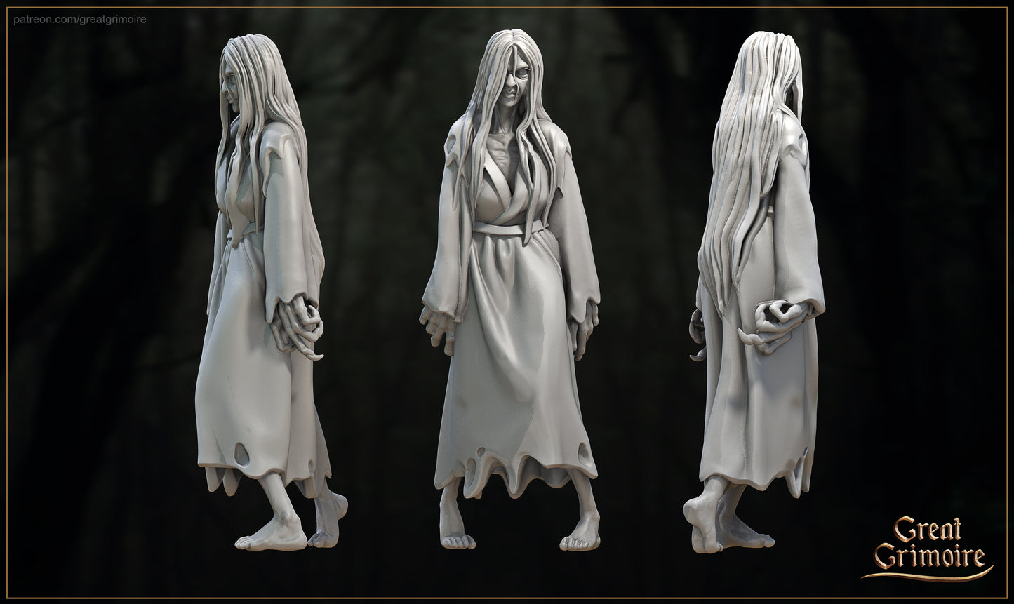 Sadako, the Reflection of the Curse