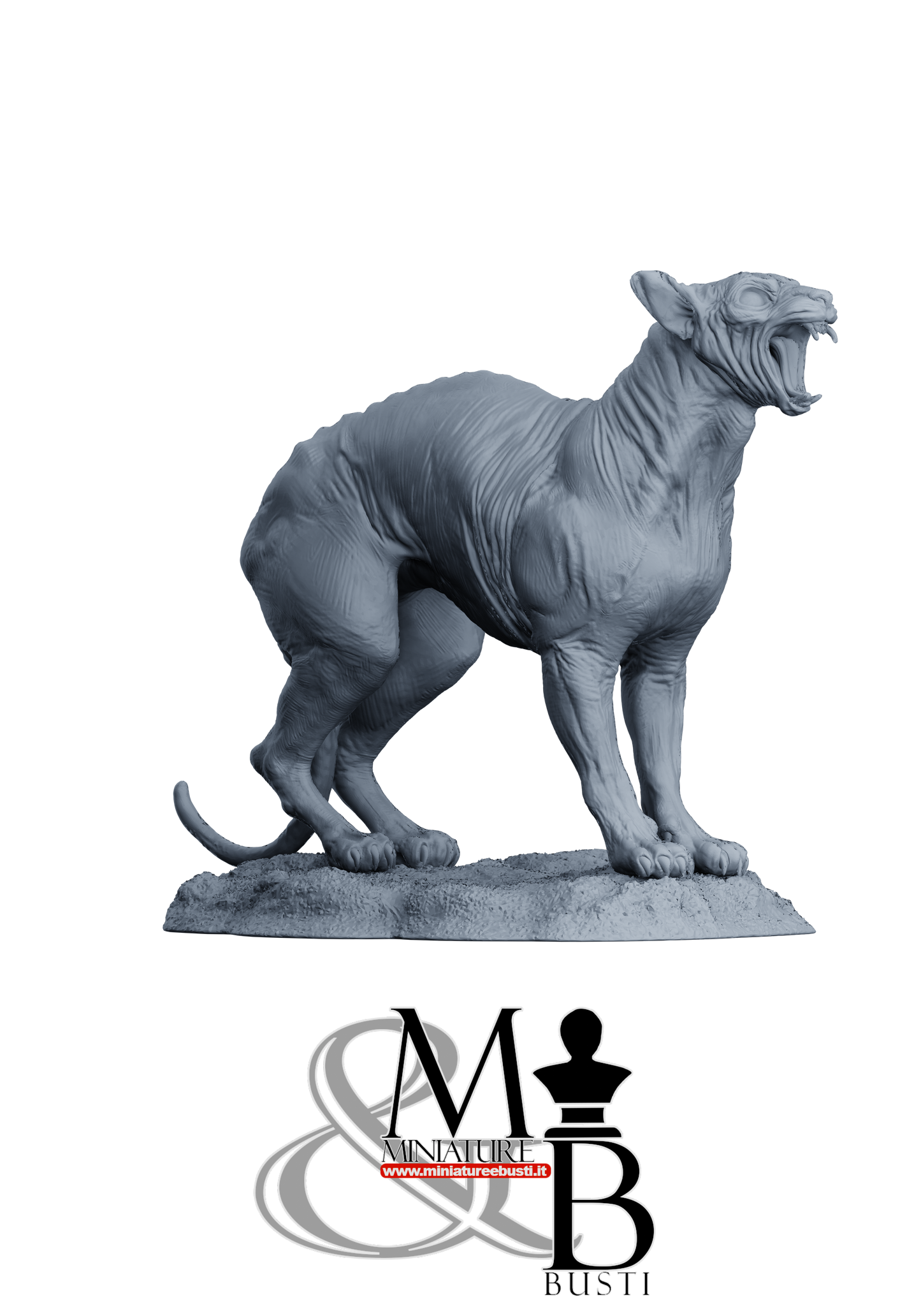 Sphinx Cat