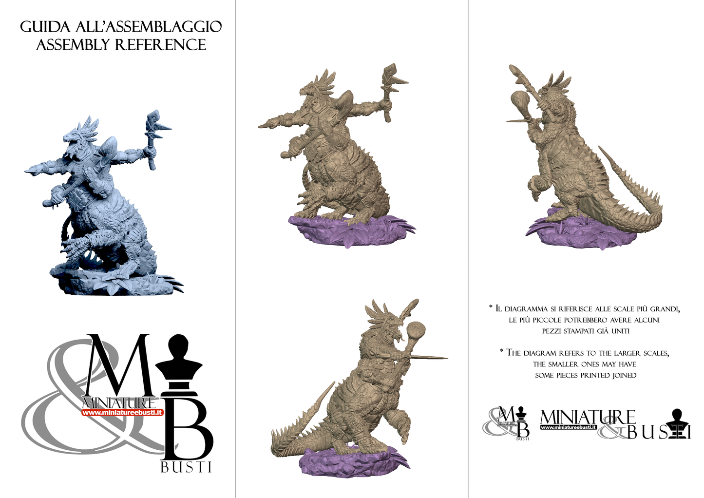 Agama Telcoans - Pose 4