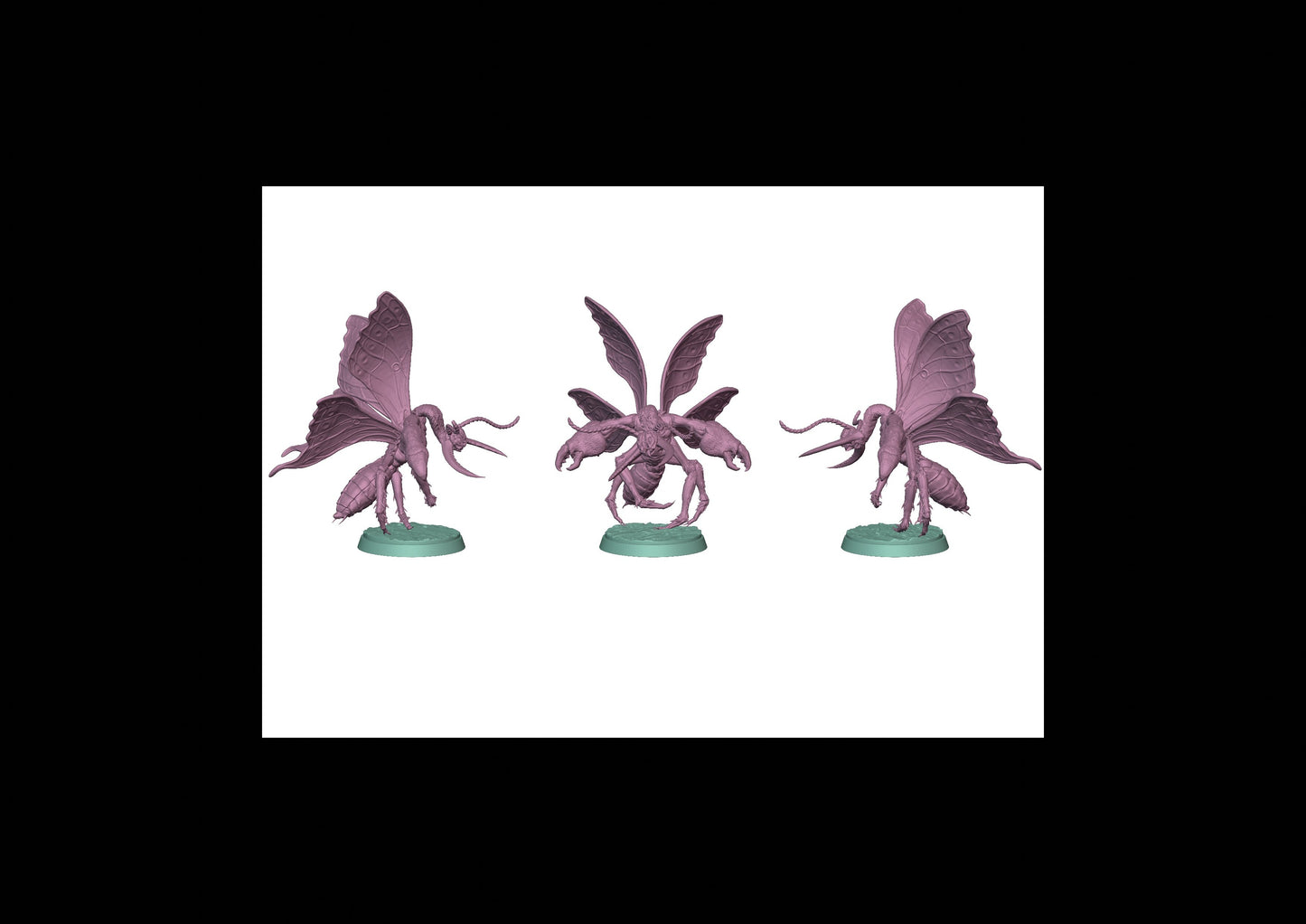 Berloom