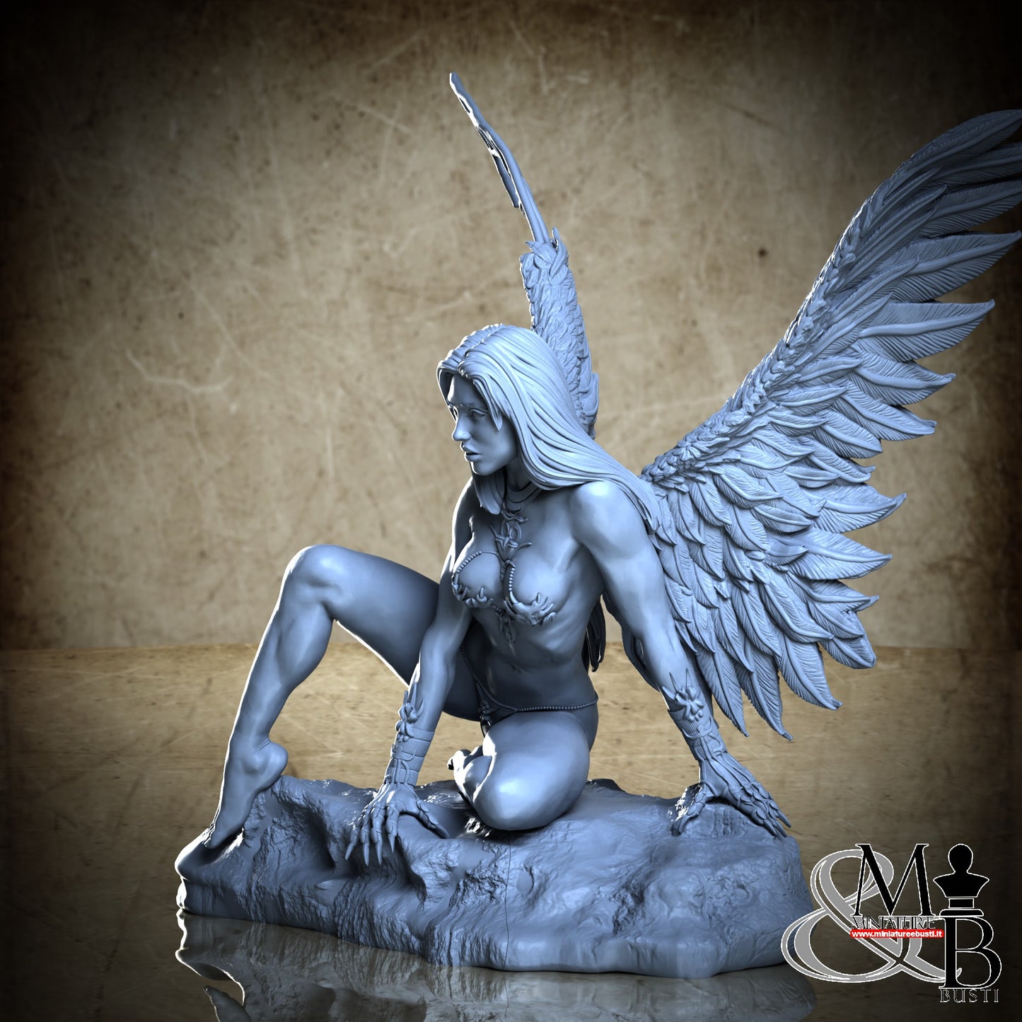 BV Project - Standard