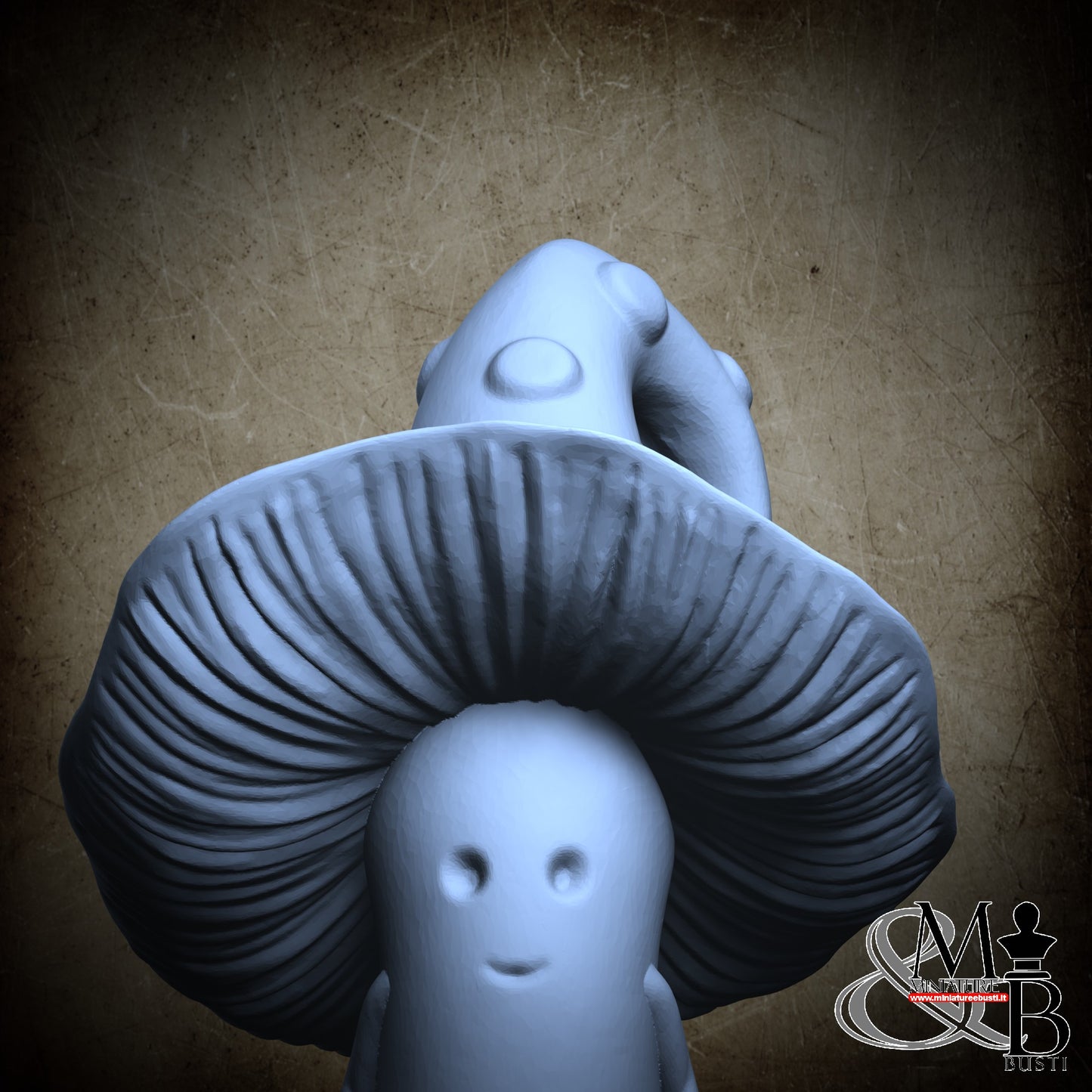 Mushrooms - Fungo Alto