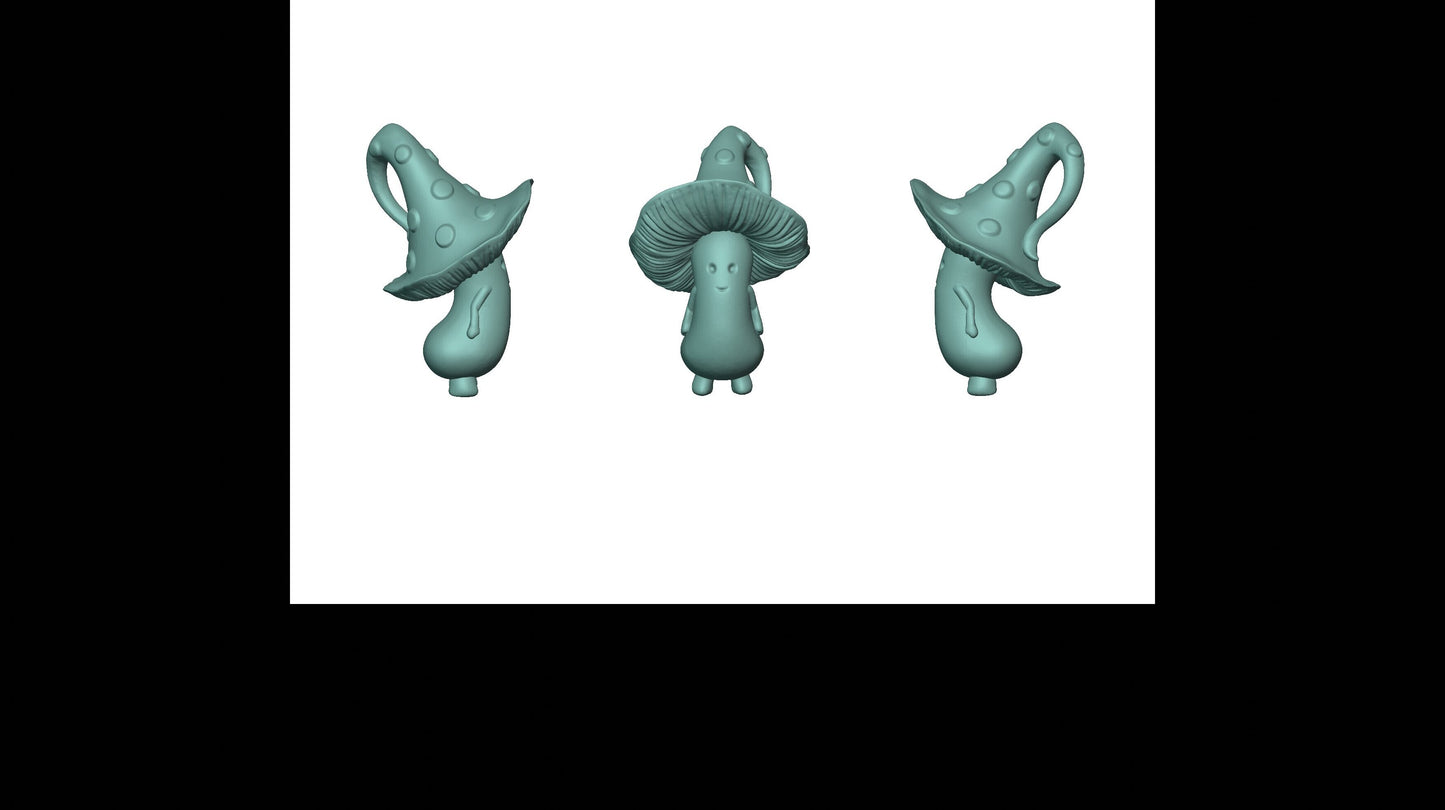 Mushrooms - Fungo Alto