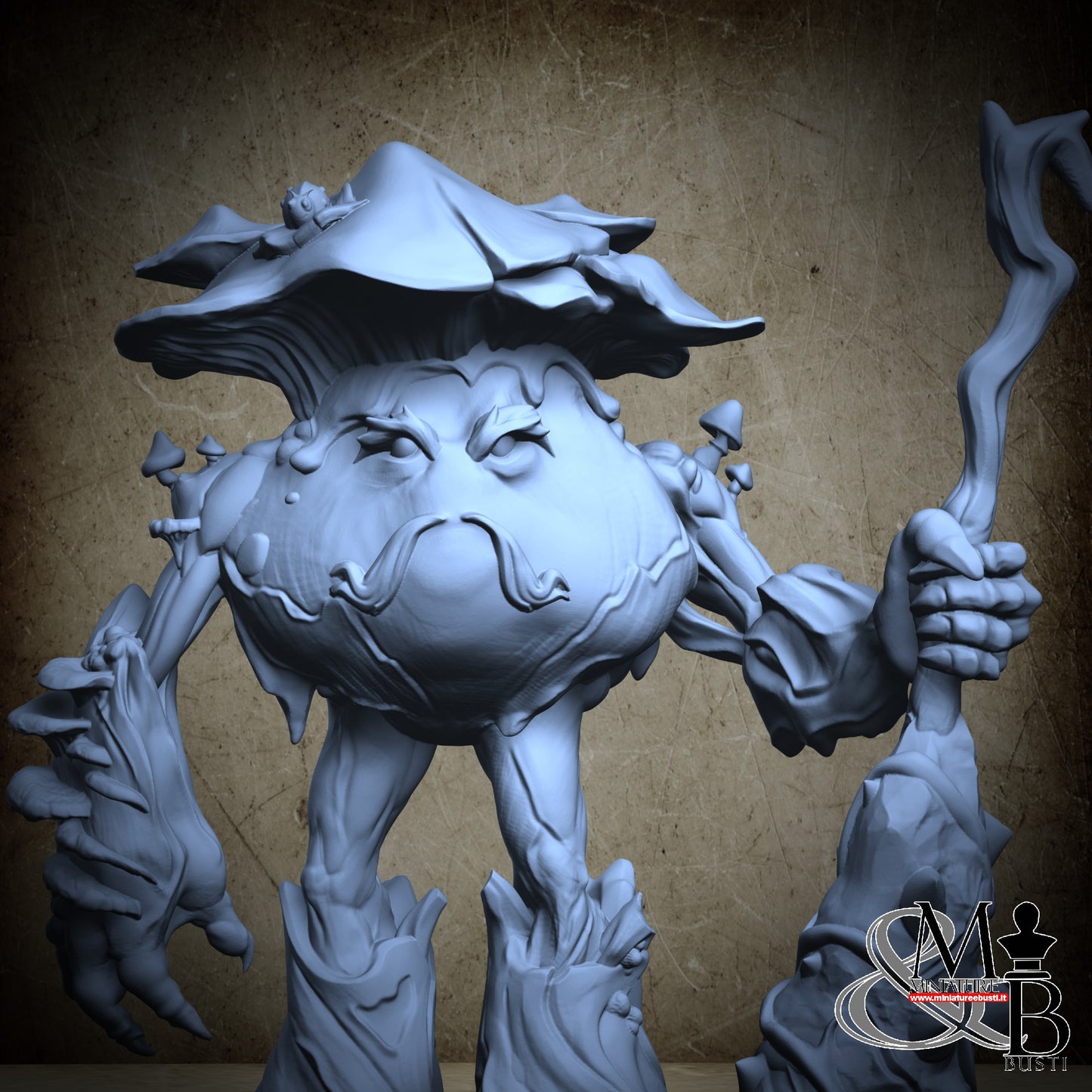 Mushrooms - Mazza