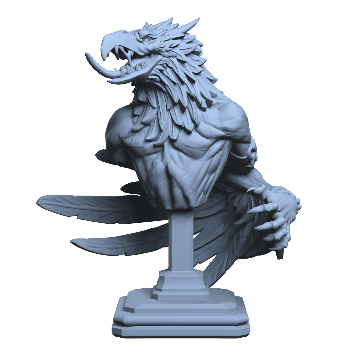 Rapacious Bird Bust