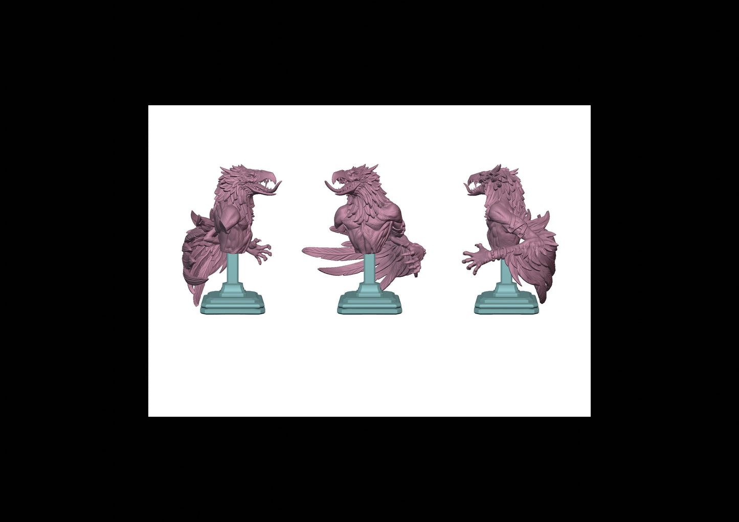Rapacious Bird Bust