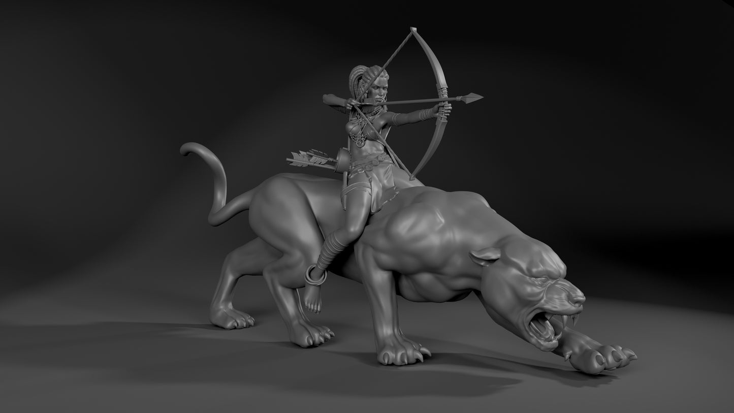 Amazon Archer - Standard