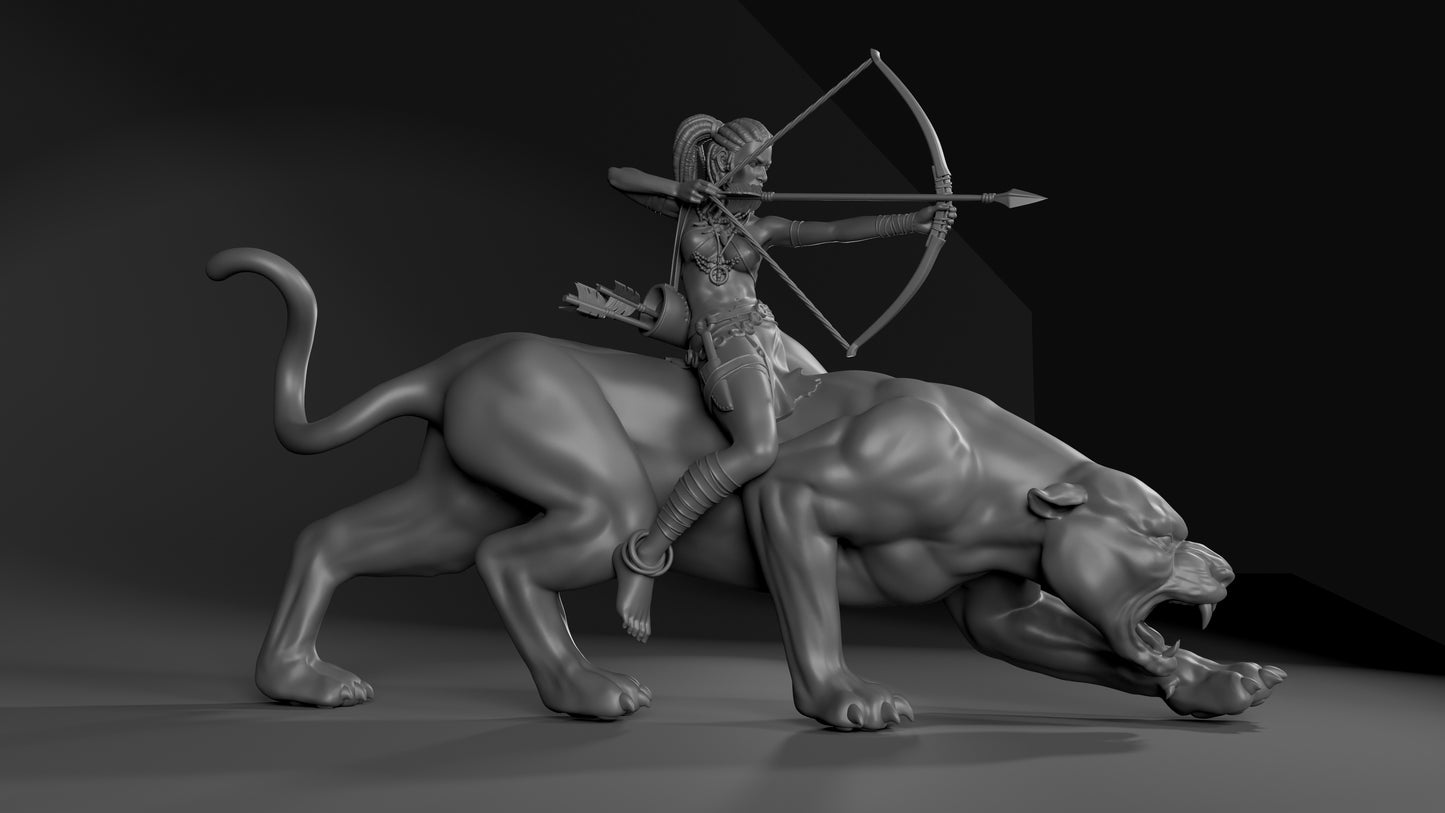 Amazon Archer - Standard
