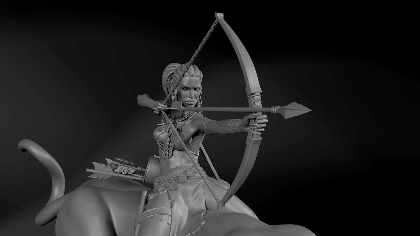 Amazon Archer - Standard