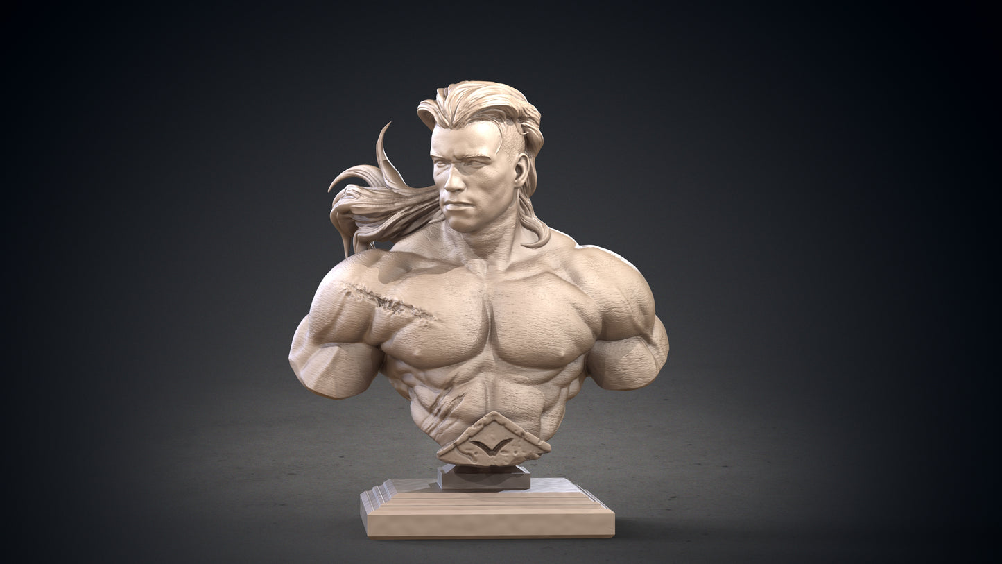 Conan BUST