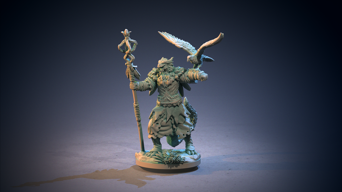 Dragon Blood Clan - Druido