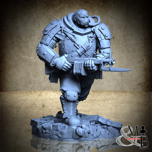 Morior Iron Guard - Pose 5