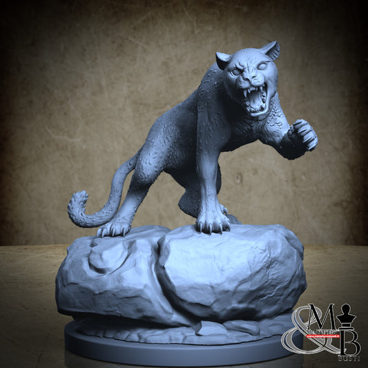 Kojo and Sora - Lioness