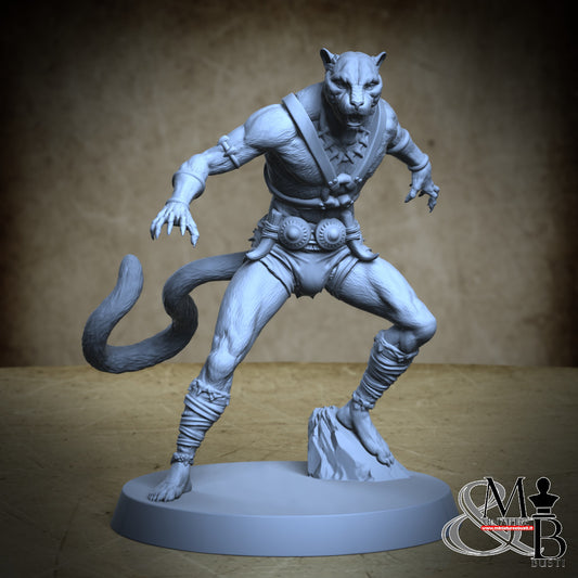 Panthera Warriors - Posa 2