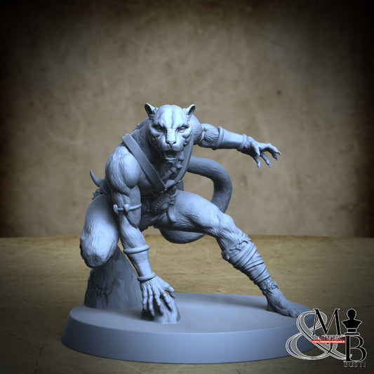 Panthera Warriors - Posa 3