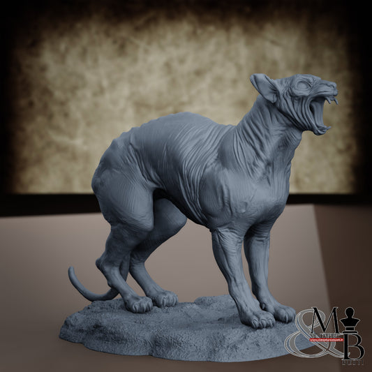 Sphinx Cat