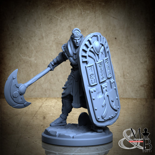 Egyptian Heavy Infantry (1)