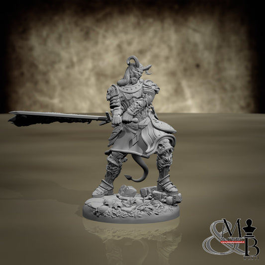 Hellfire Inquisitor - Posa 2
