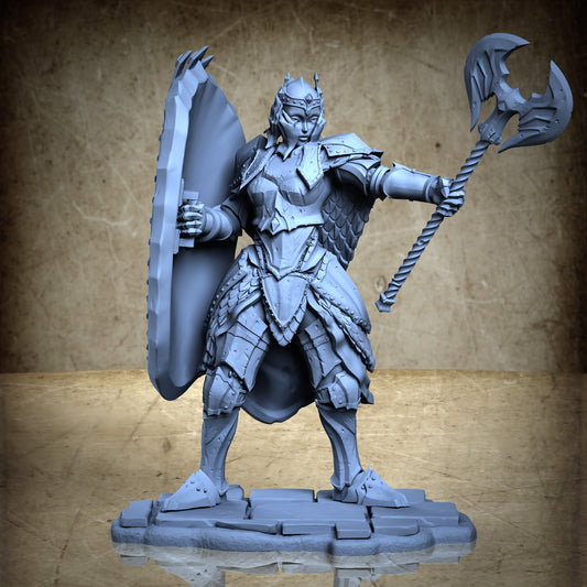 The Mirror Knight