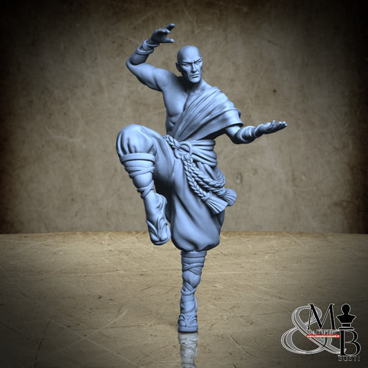 Exiled monks - Monk in fighting pose