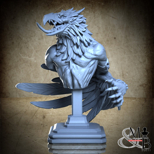 Rapacious Bird Bust
