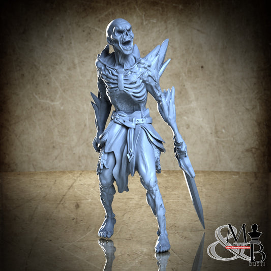 Frozen Knights - Undead Warrior